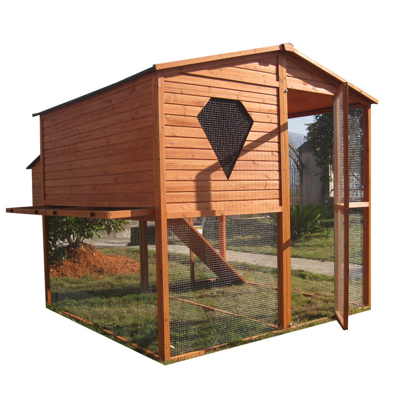 Wooden backyard chicken coop