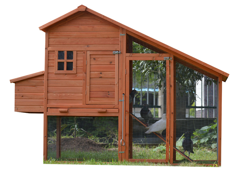 Outdoor two layer backyard cozy Chicken Coop Outdoor two layer backyard cozy Chicken Coop