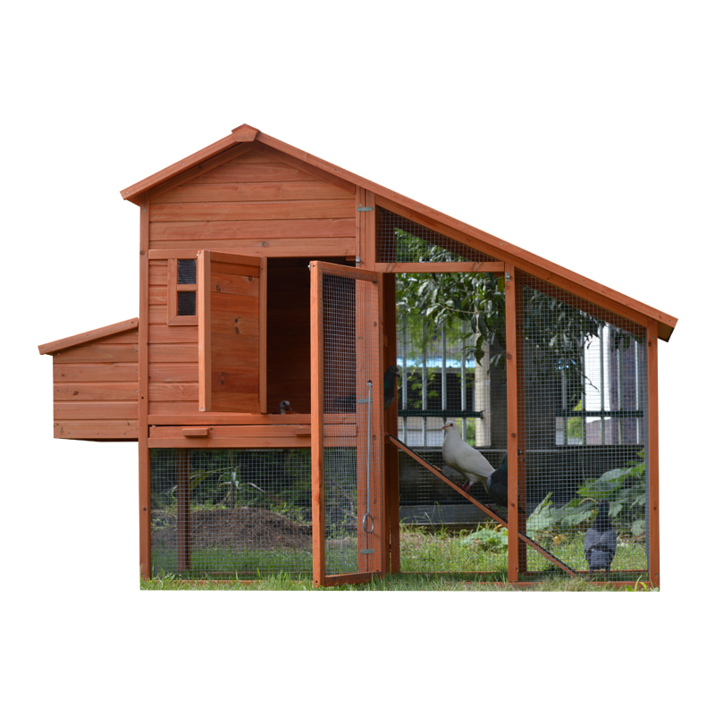 Countryside style cozy backyard chicken coop