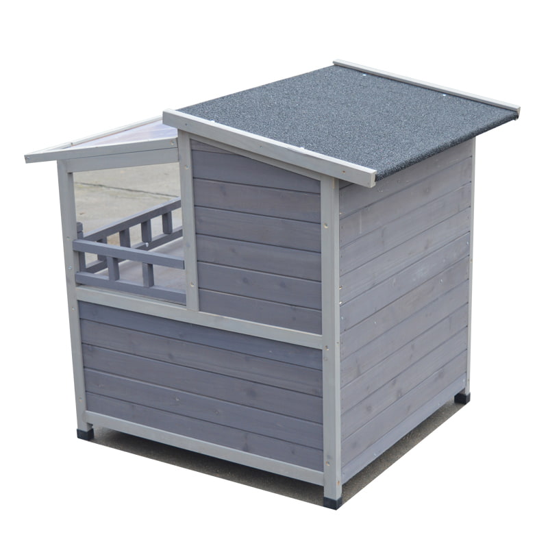 Boarding for cats near me