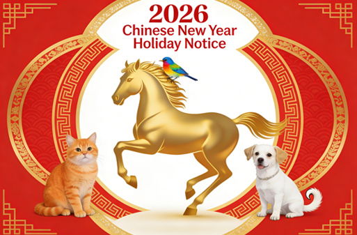 Chinese New Year Holiday Notice