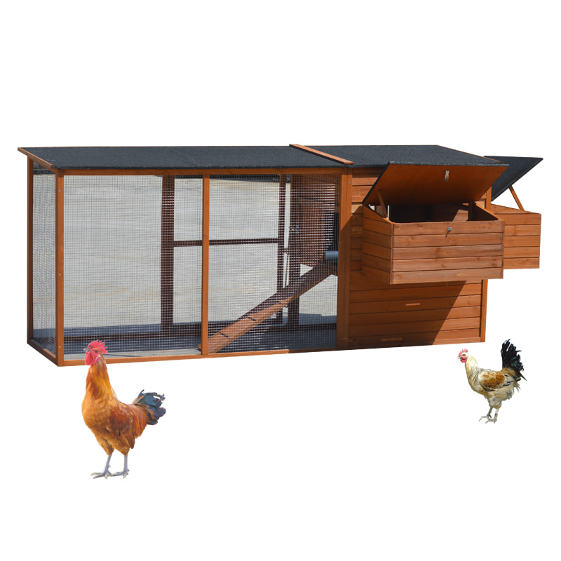 outdoor chicken coop large