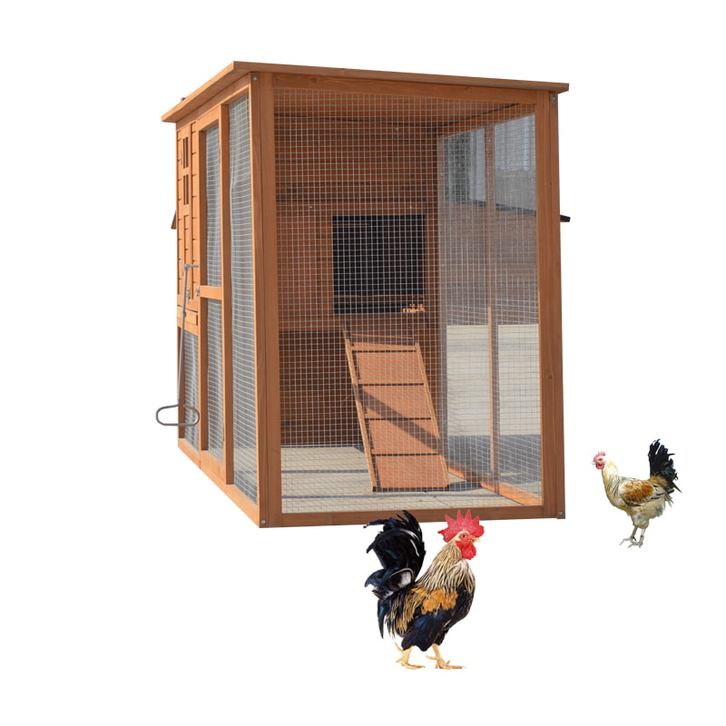 chicken coop for laying hens on the ground