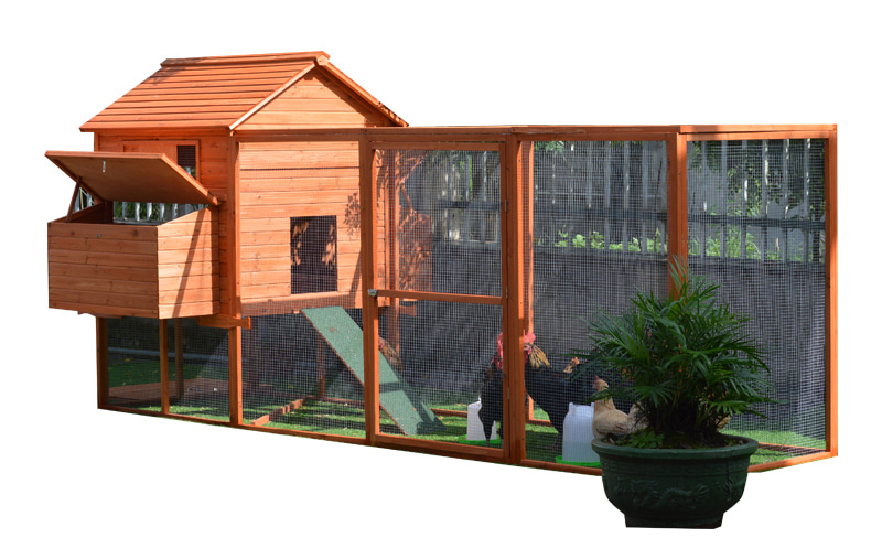 Outdoor brown-color backyard cute Chicken Coop Outdoor brown-color backyard cute Chicken Coop