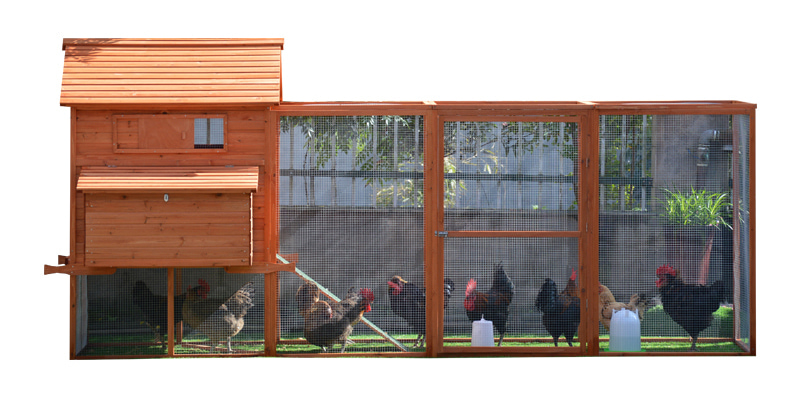 wooden brown fir wood chicken coop with ramp wooden brown fir wood chicken coop with ramp
