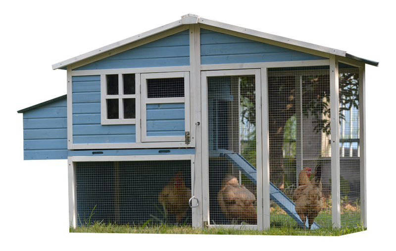 Outdoor spacious Chicken Coop