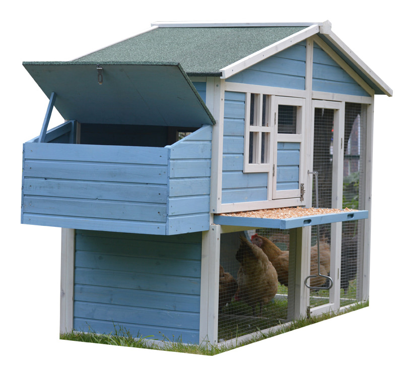 Outdoor blue-color backyard cute Chicken Coop