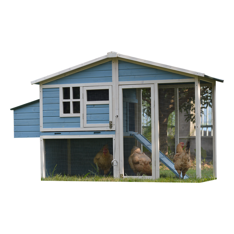 Suburban Backyard Hen Sanctuary chicken coop