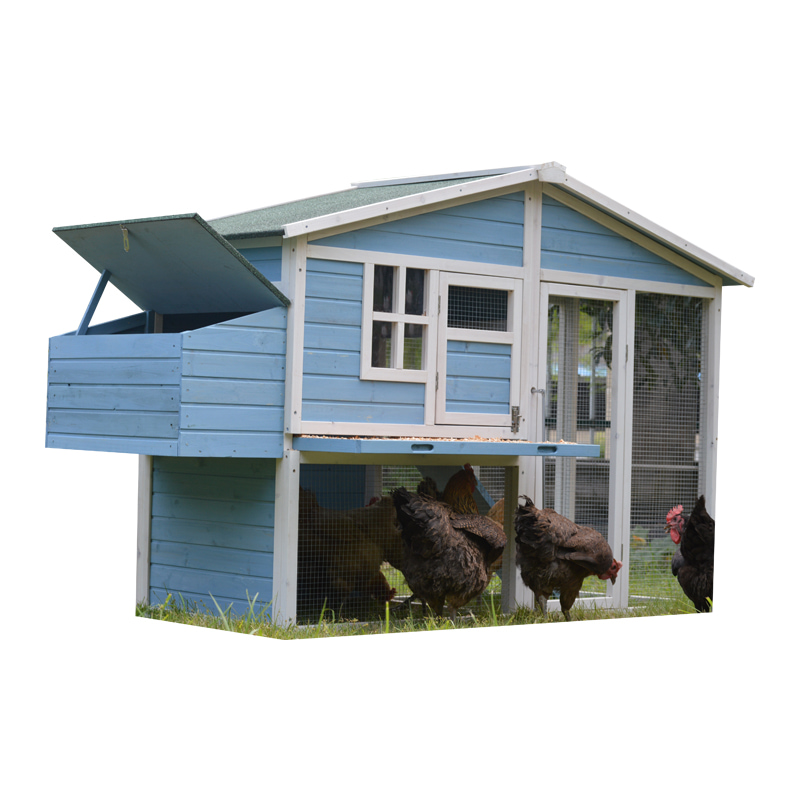 Spacious chicken coop with nesting box