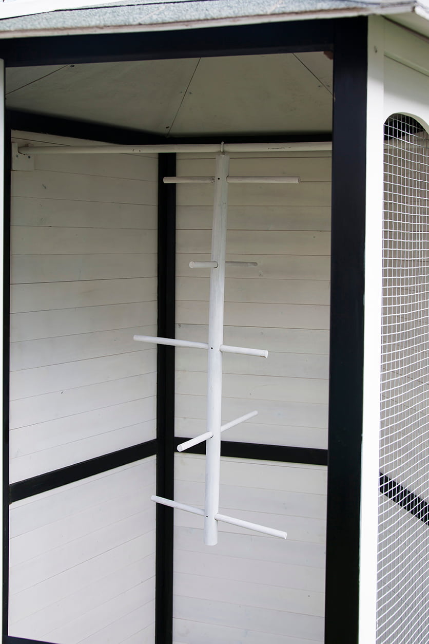 Group raising bird cage