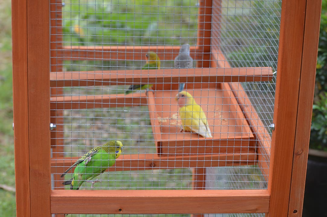 Outdoor wooden bird house