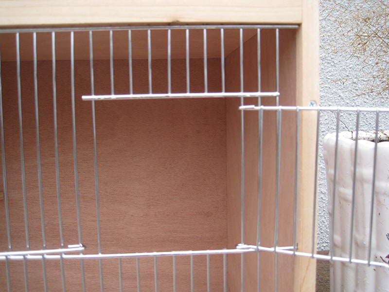 Pigeon pair breeding box